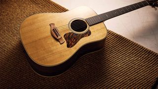 Taylor Gold Label 710e