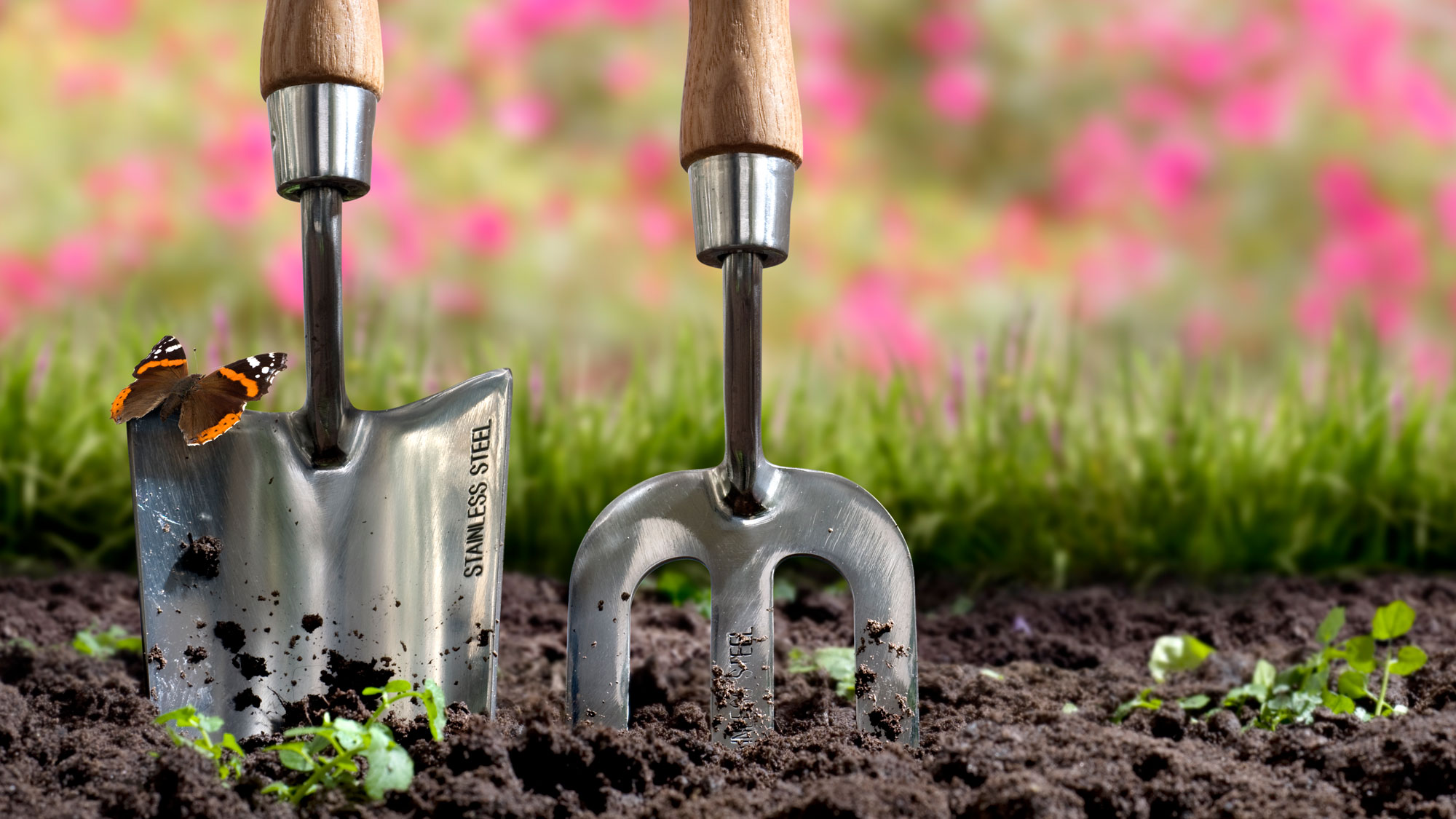 garden trowel and garden fork in garden soil with butterfly and pink flowers in background