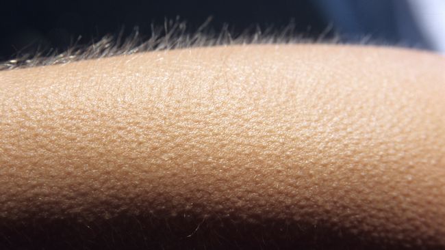 Why Do We Get Goosebumps Live Science