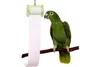Shred it! Shredding Toy for Parrots