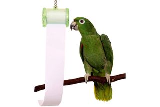 Shred it! Shredding Toy for Parrots