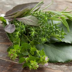 Herb bundle on wooden table