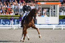 EurosRotterdam_18PN_74896.jpg