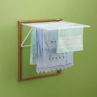 Green wall with mounted clothes drying rack