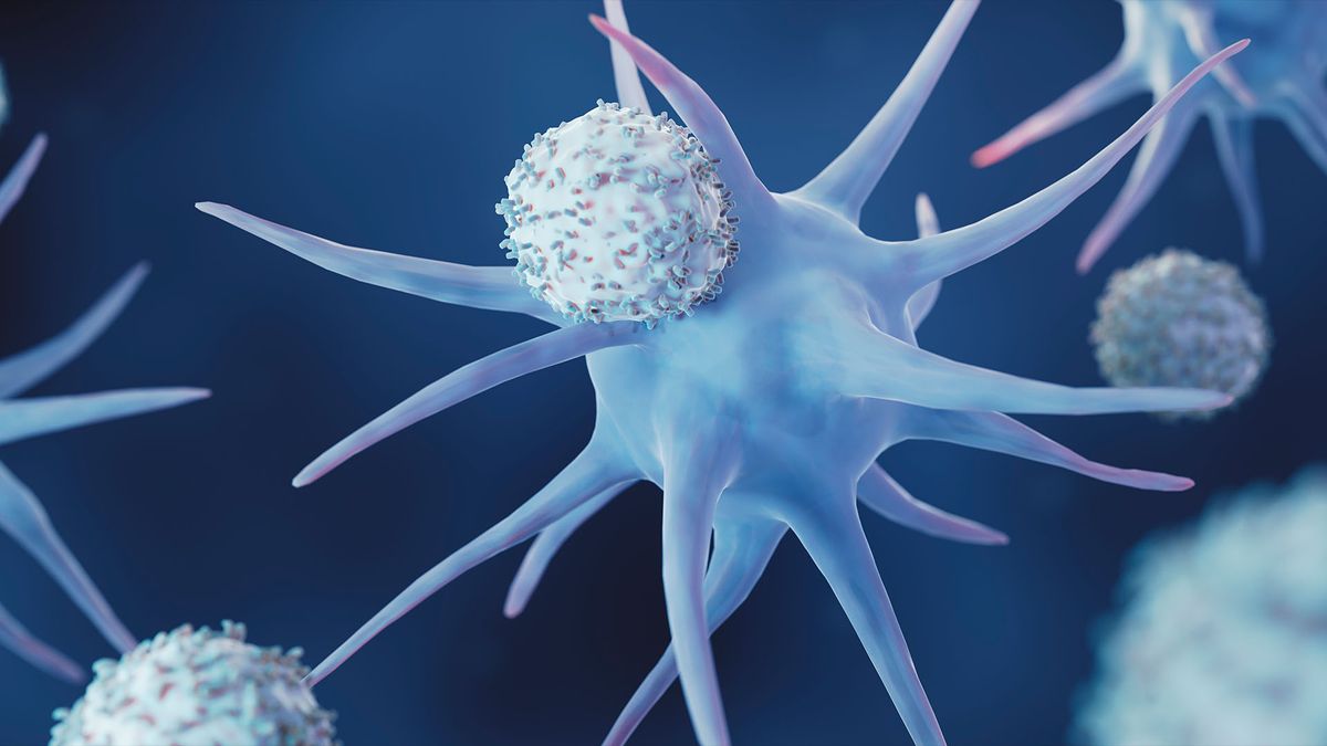 How do fevers kill germs? Live Science