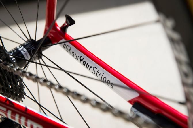 Trek Factory Racing's new colours