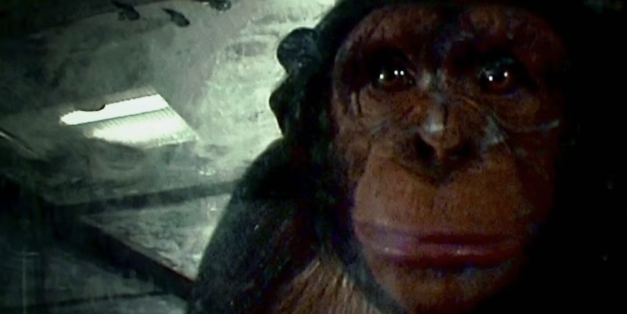 An infected chimpanzee as seen in 28 Days Later