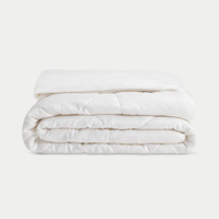 Cozy Earth Bamboo Comforter | Was $419.00, now $293.30 at Cozy Earth