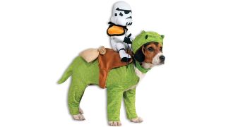 Star Wars Costume_Dewback Pet Costume for Dog