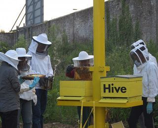 The "Sky Hive" prototype in the Netherlands.