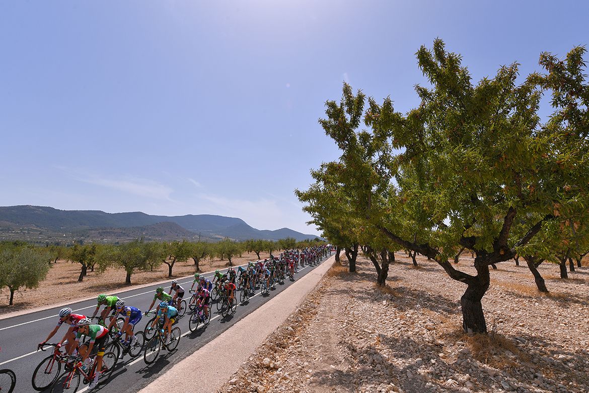 The Vuelta a Espa&ntilde;a peloton on stage 8