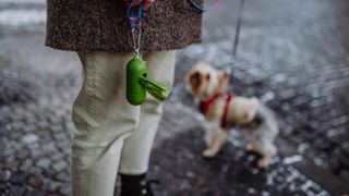 Woman walking dog