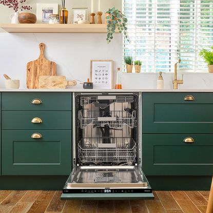 Kitchen with green cabinetry and open dishwasher