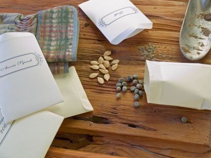 Table With Plant Seeds And Paper Bags To Store Them