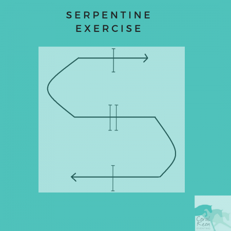 Jumping exercises: the serpentine