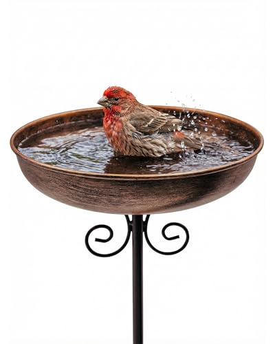 Ouisjyer Small Metal Bird Bath for Outdoors, 10" Dia Bowl With Stake Birdbaths Garden Yard Lawn Decor 0.4 Gallon