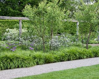 How to design a pergola - Think about ground cover and other plants in a pergola scheme