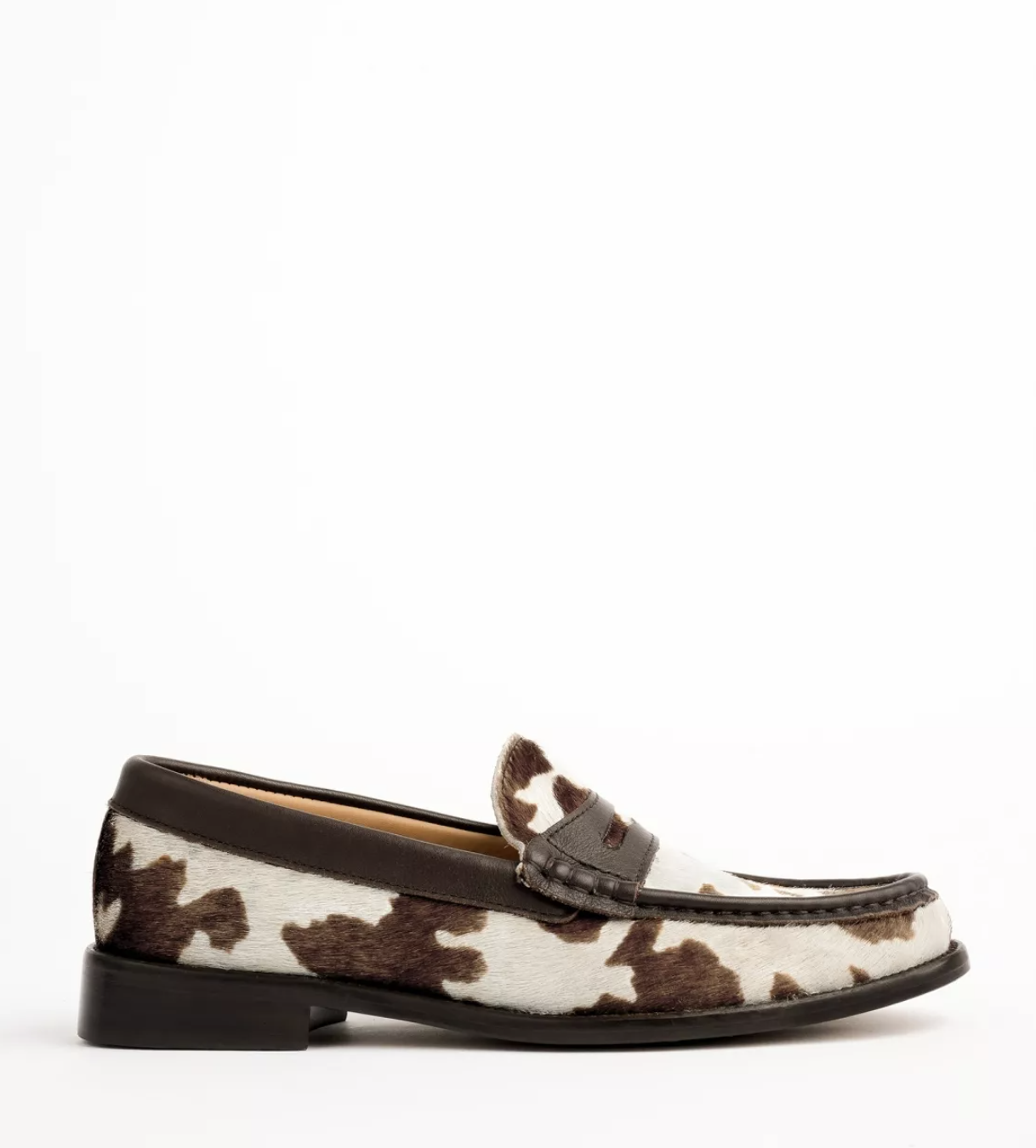 Penelope Chilvers, Friesian Pony Loafer