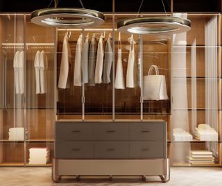 luxury closet with glass-fronted units