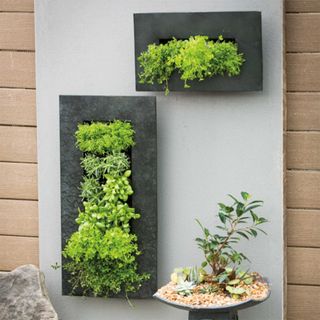 vertical wall planter with plants growing inside
