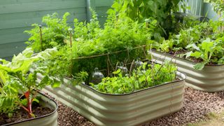 how to design a potager: the Original Veggie Bed by Suttons