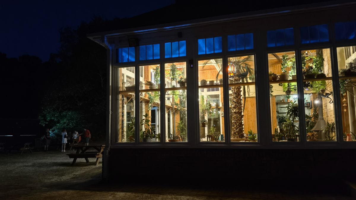 A conservatory at night filled with plants; some people can be seen sat at a bench in the dark in the background.