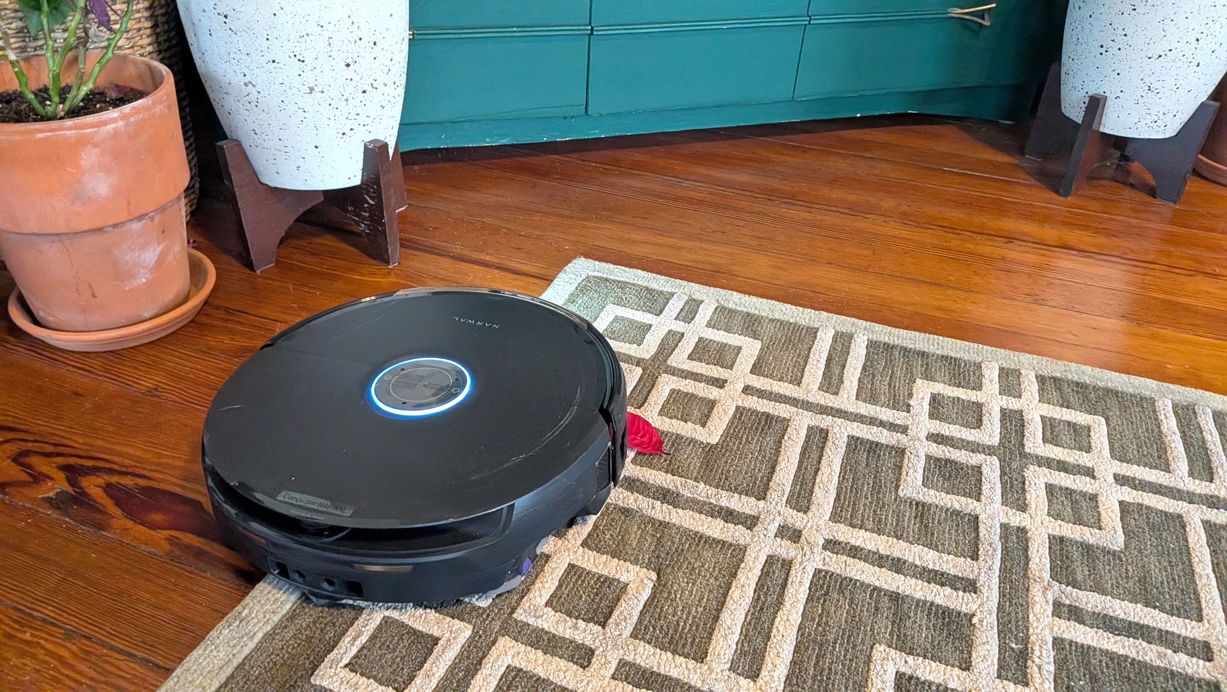 Narwal Flow 2 robot vacuum moving from hard floor to carpet
