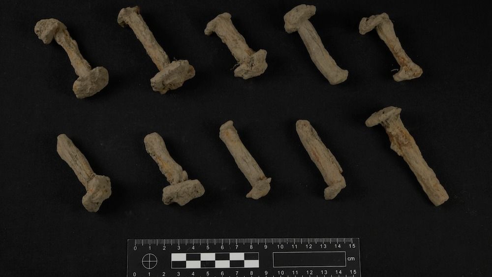 A selection of iron rivets photographed with a black background.