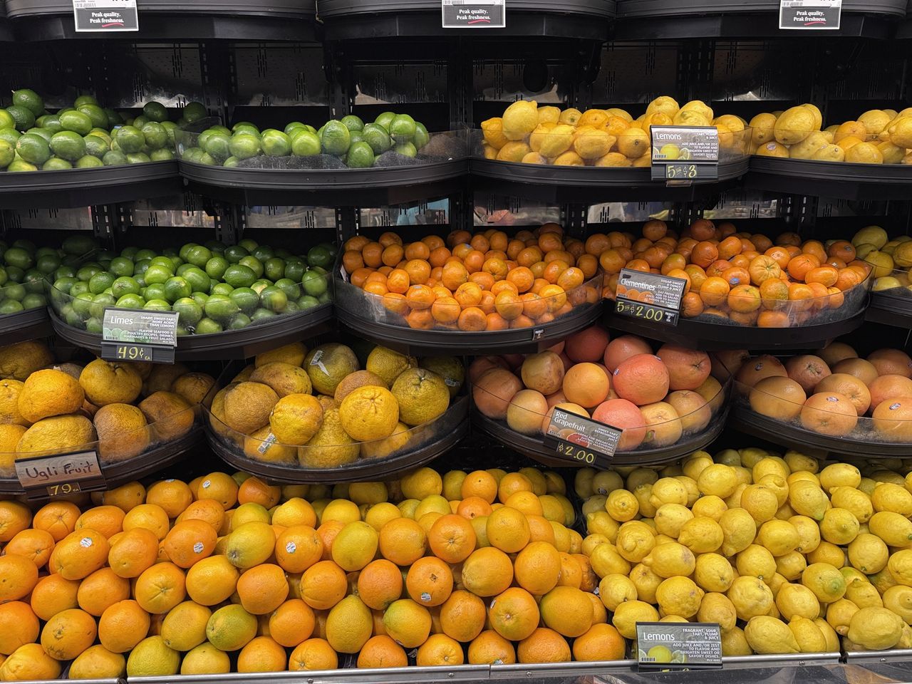 Apple iPhone 15 Pro color reproduction sample.