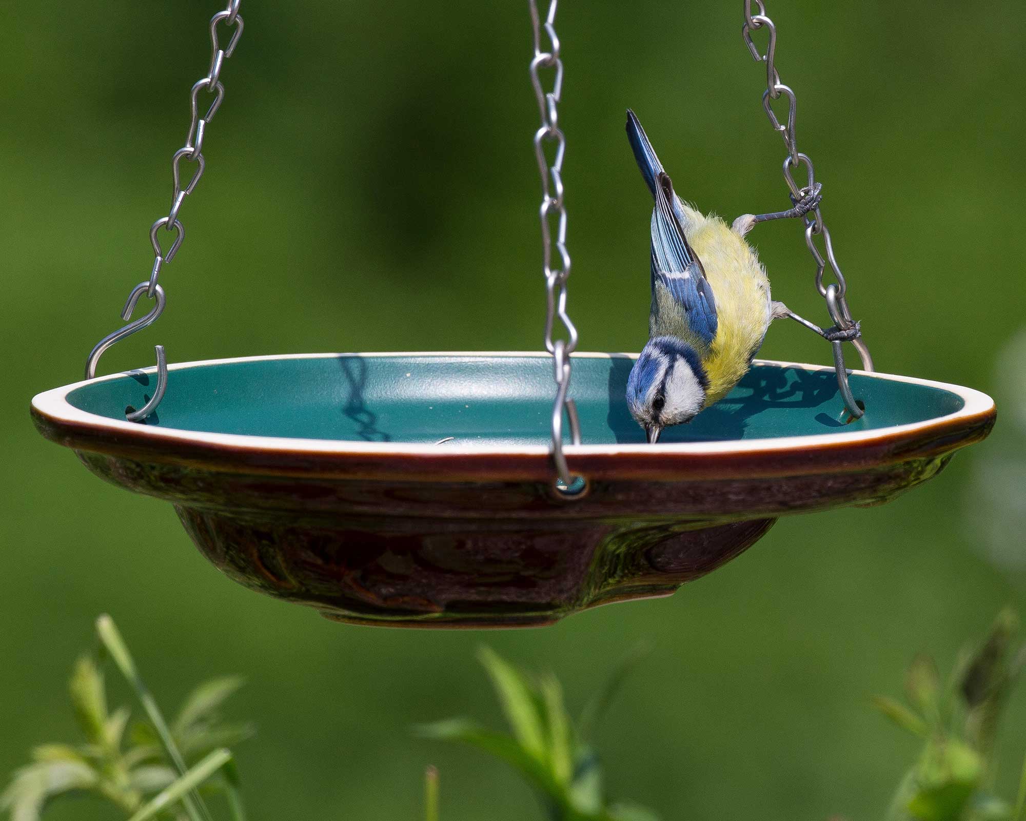 How to make a bird bath in a few simple steps Gardeningetc