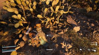 Where to find a prickly pear in Arc Raiders PC Gamer