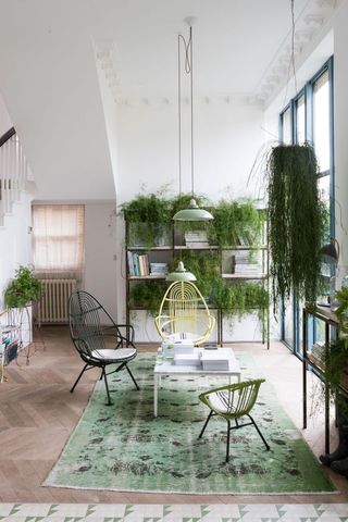 how to bring the outdoors in with hanging trailing plants