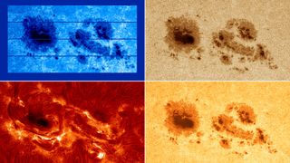 Four images with red blue and yellow filters applied to two large dark dots over a light background showing sunspots on the sun
