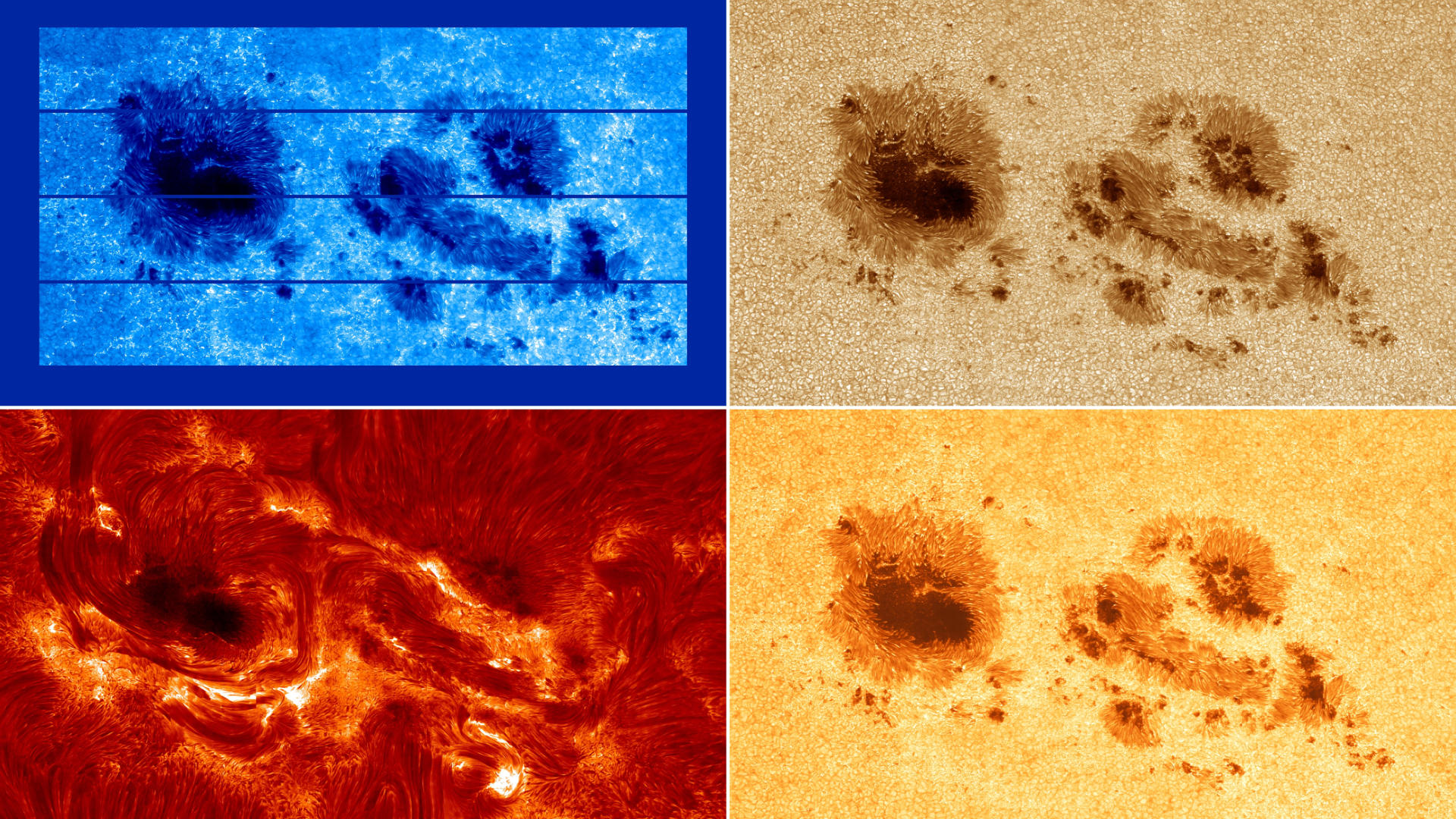 Four images with red blue and yellow filters applied to two large dark dots over a light background showing sunspots on the sun
