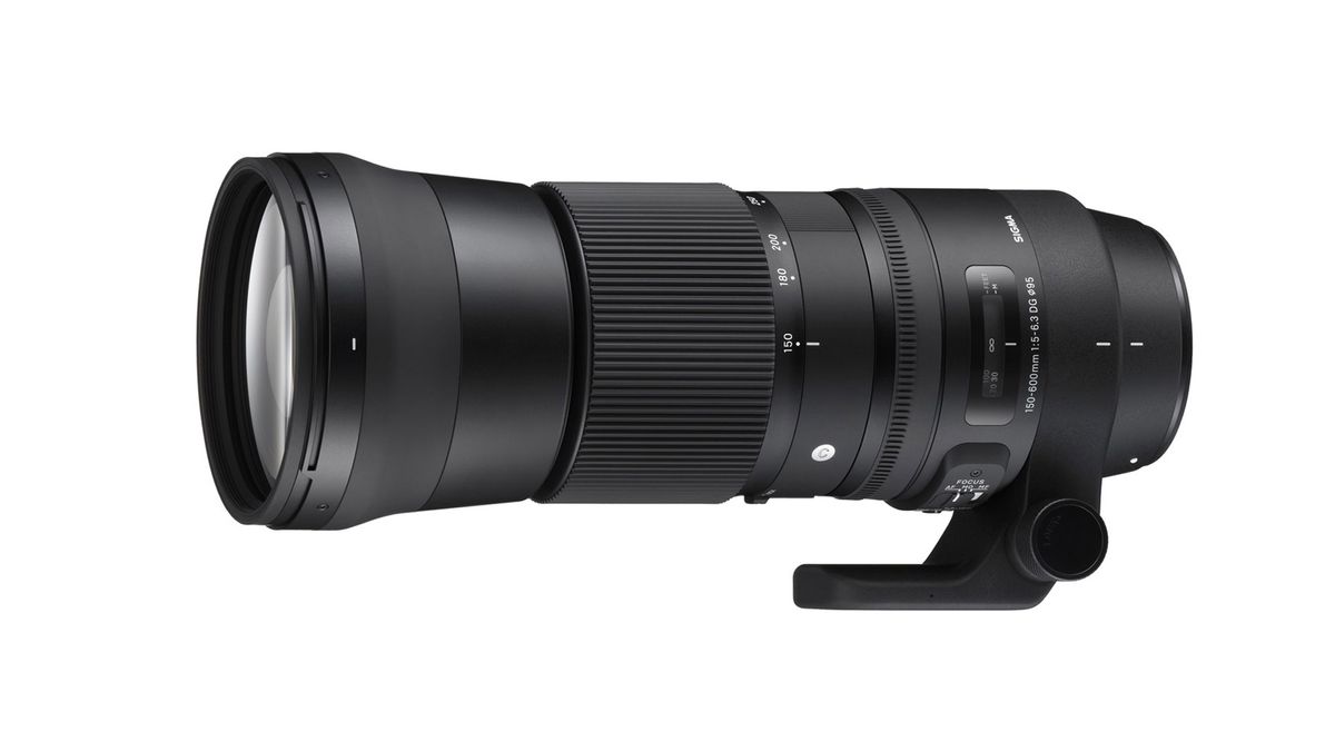 Sigma 150-600mm f/5-6.3 DG OS HSM Best Zoom Lenses