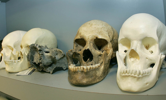 Fleshing Out Skull & Bones: Investigations into America's Most