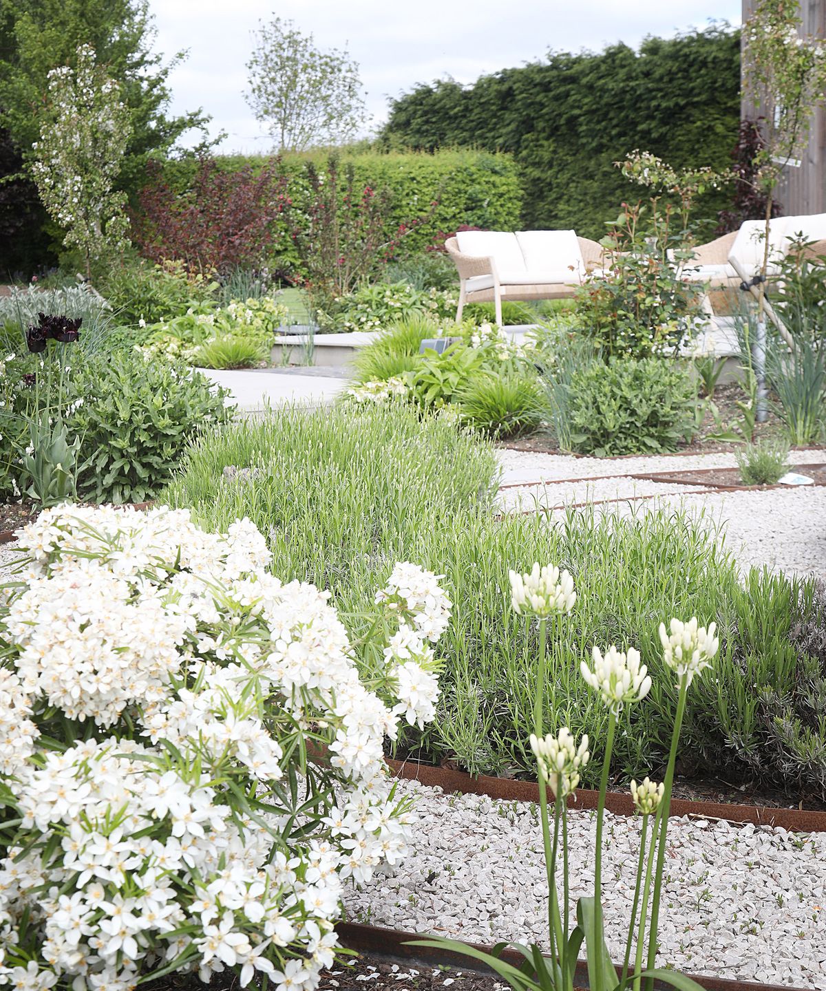 a landscaped garden with white flowers and silvery foliage growing in planting beds with patio furniture just visible in the distance