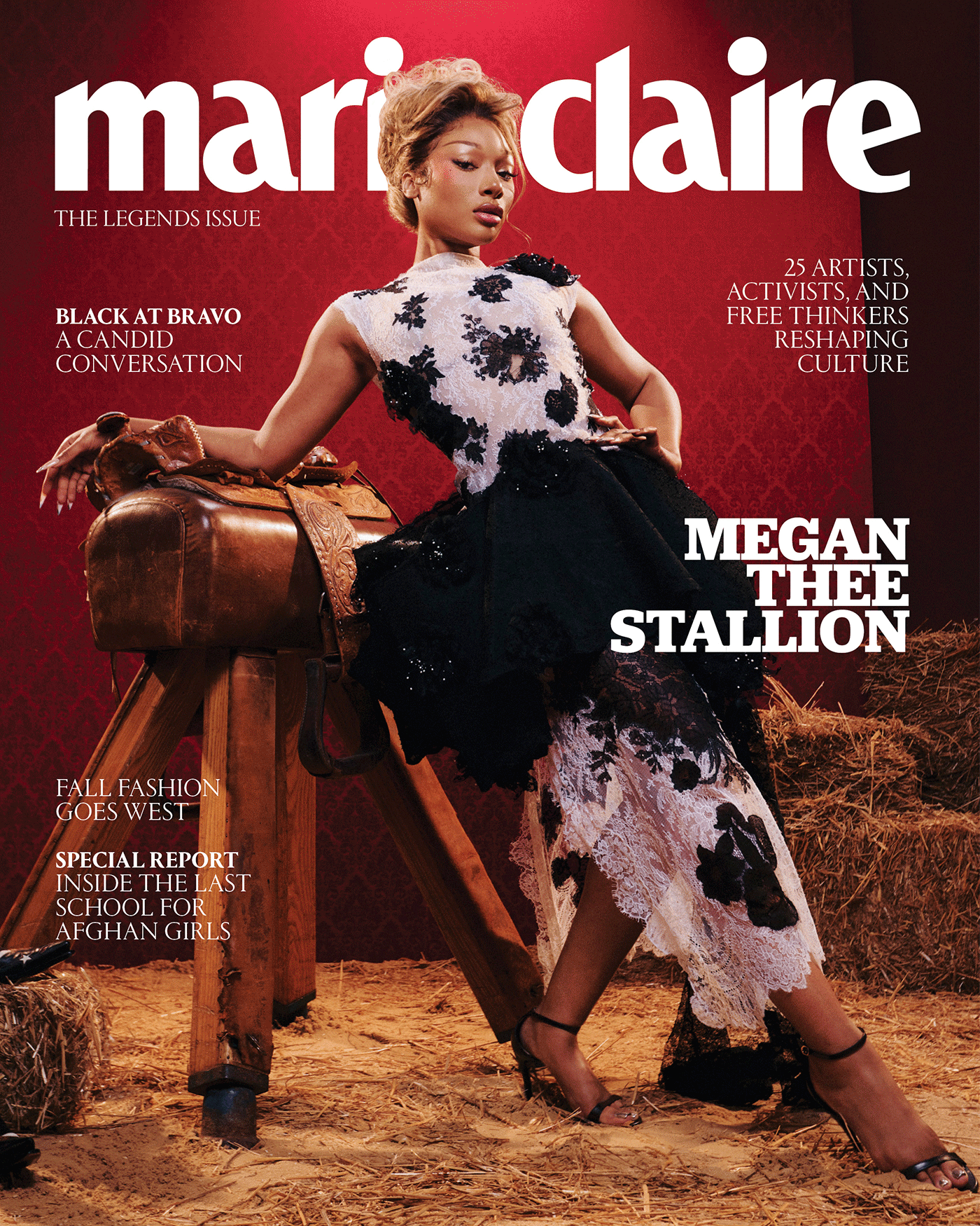 Megan Thee Stallion cover