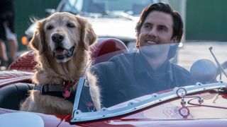 A man and his golden god sitting in the front of a little red sports car