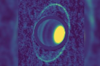 In this composite image, the heat from the rings around Uranus can be seen. The dark bands in the planet’s atmosphere indicate radiolight-absorbing molecules such as hydrogen sulfied, while the bright areas contain very few of these molecules.