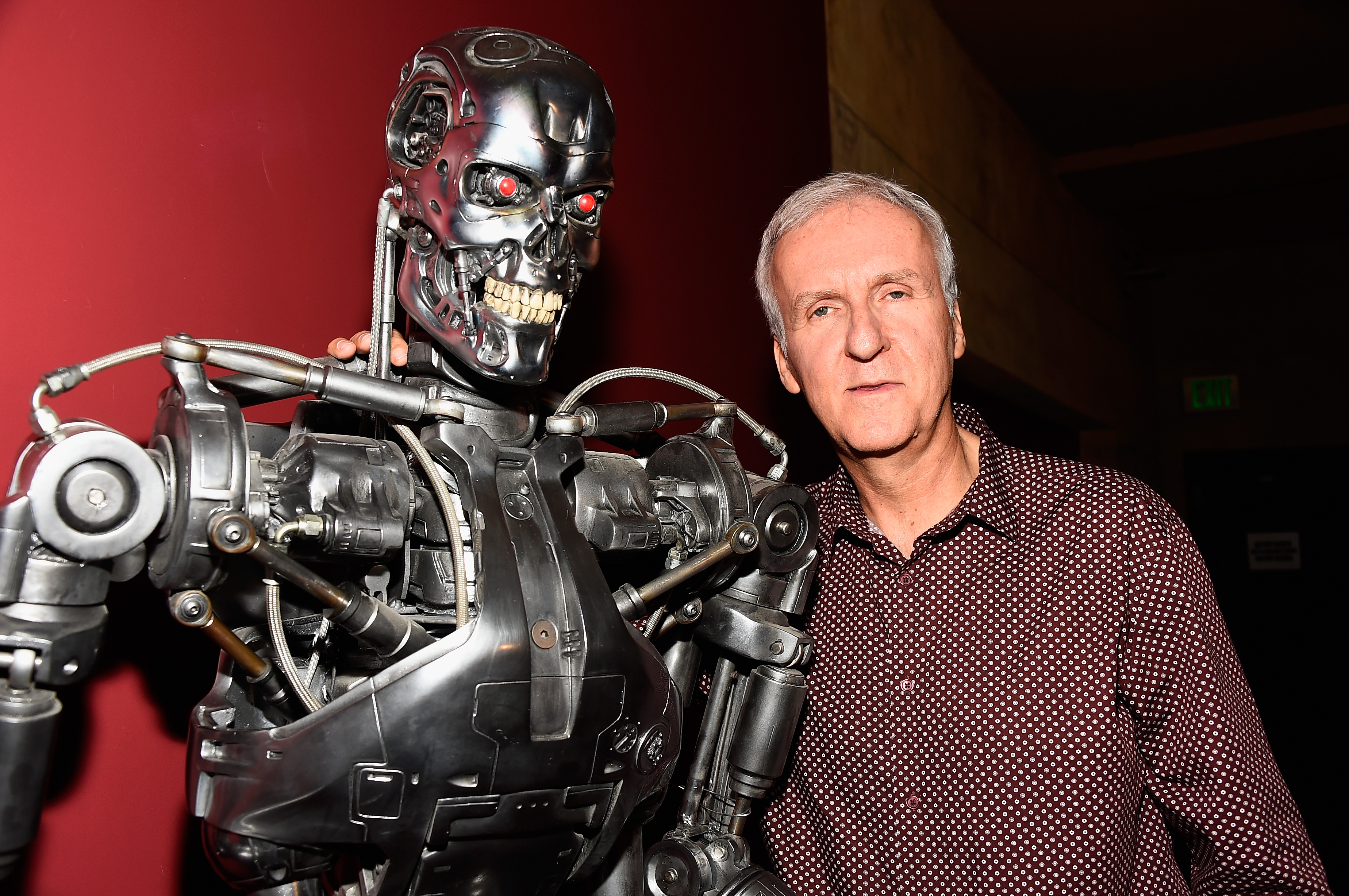 Director James Cameron attends the American Cinematheque 30th Anniversary Screening Of &quot;The Terminator&quot; Q+A at the Egyptian Theatre on October 15, 2014 in Hollywood, California
