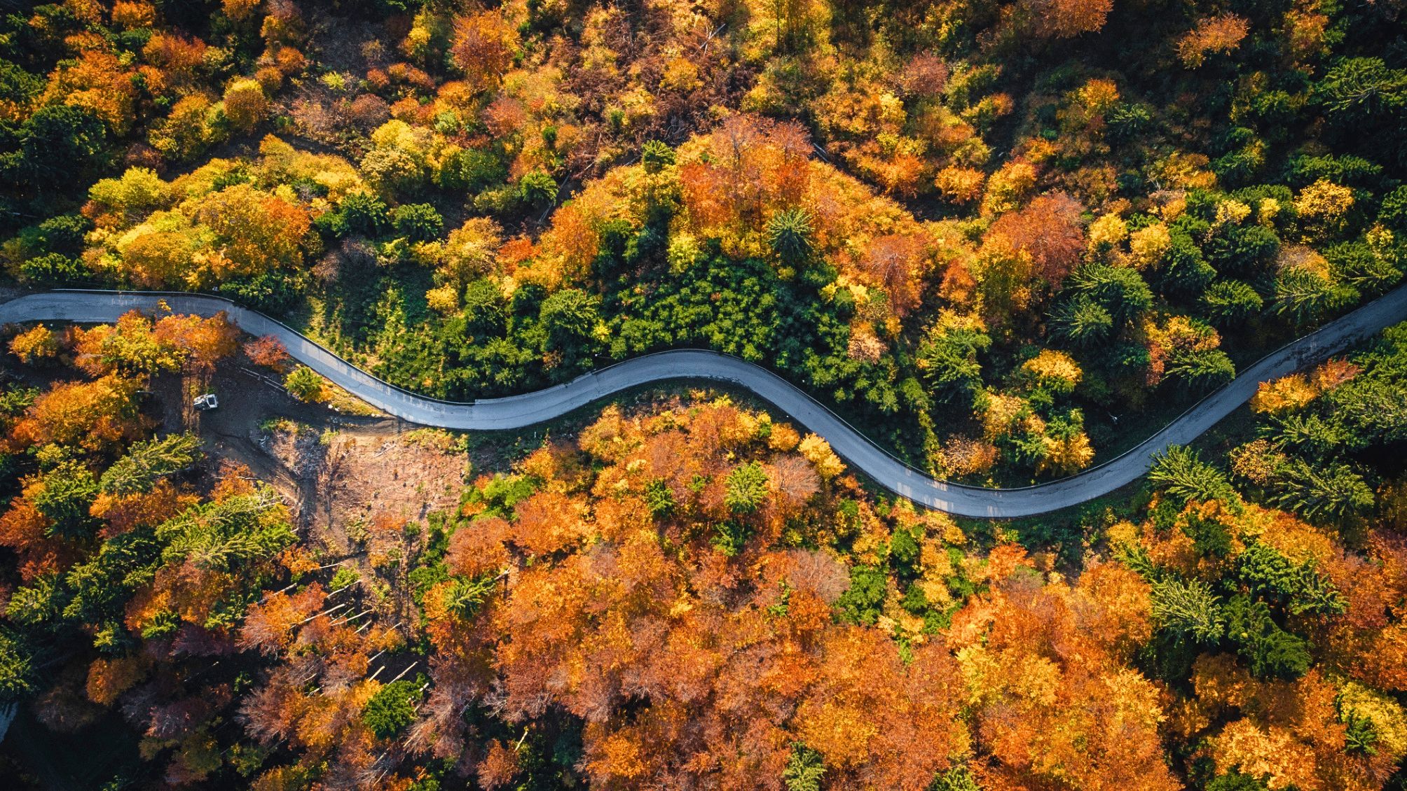 Aerial view of a curvy scenic drive during fall.