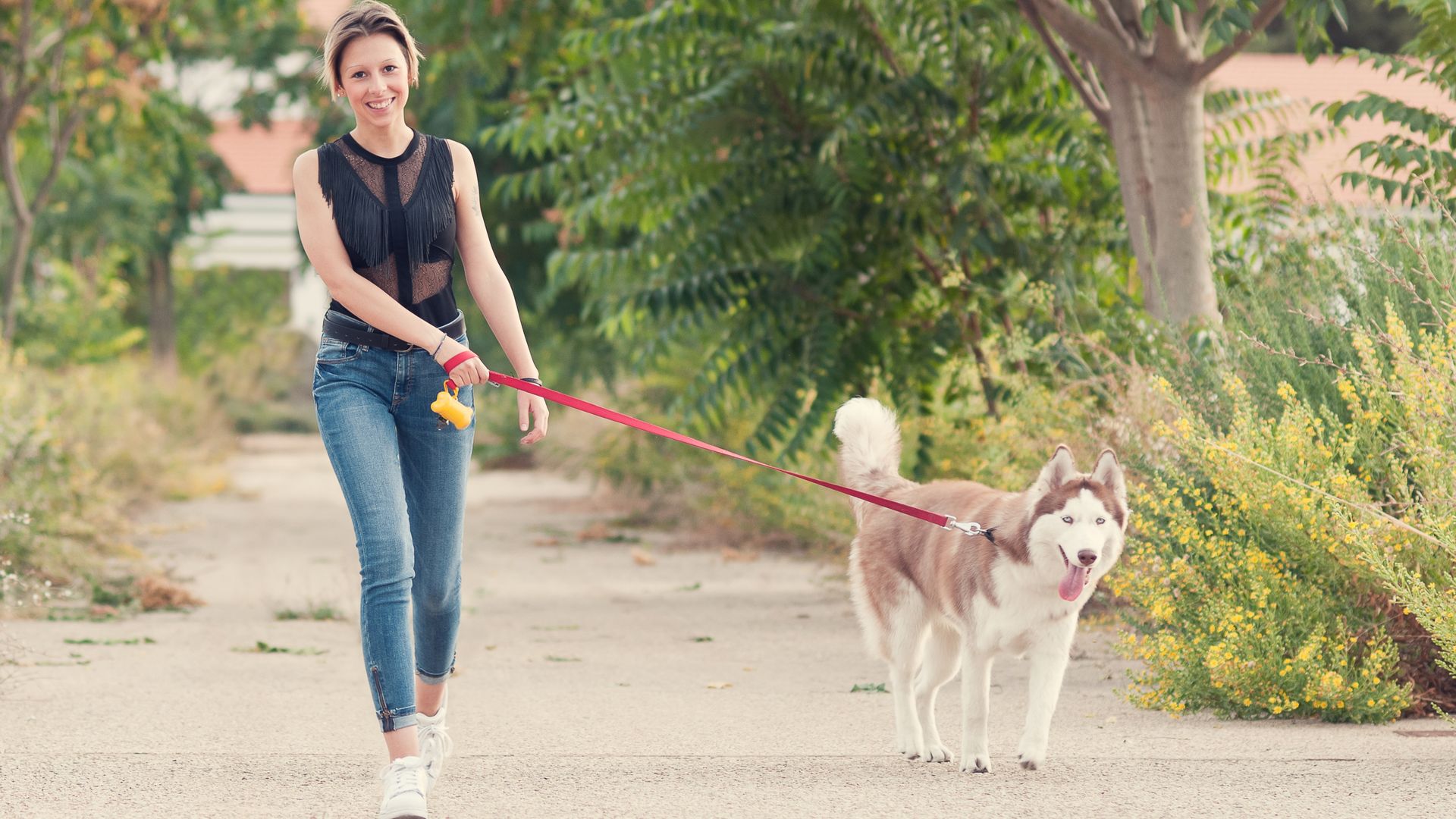 Want to reduce your dog's anxiety on walks? Try this trainer's one