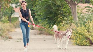 Young woman walking with her husky dog