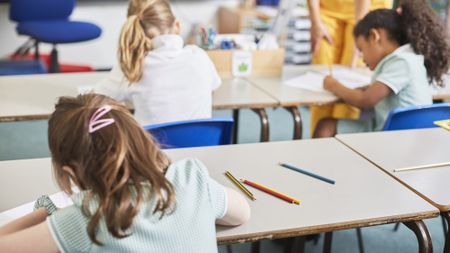 School pupil in class