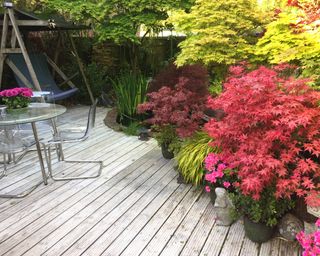 wooden white garden decking timber with garden furniture and swing chair, koi pond, landscaped oriental Zen Japanese garden maples / acers