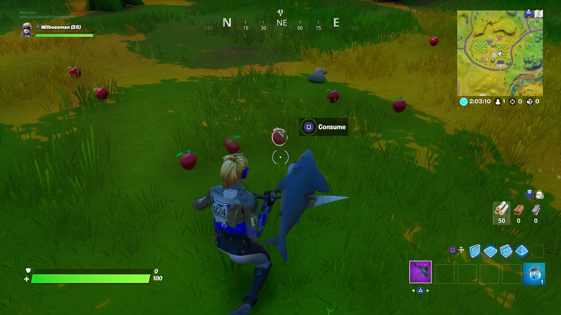 Fortnite foraged items