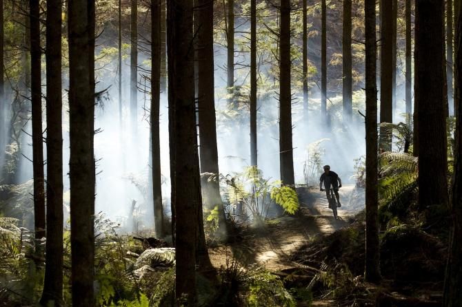 Racers fly down trails for the gravity enduro