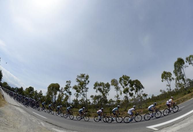 The Tour de France peloton