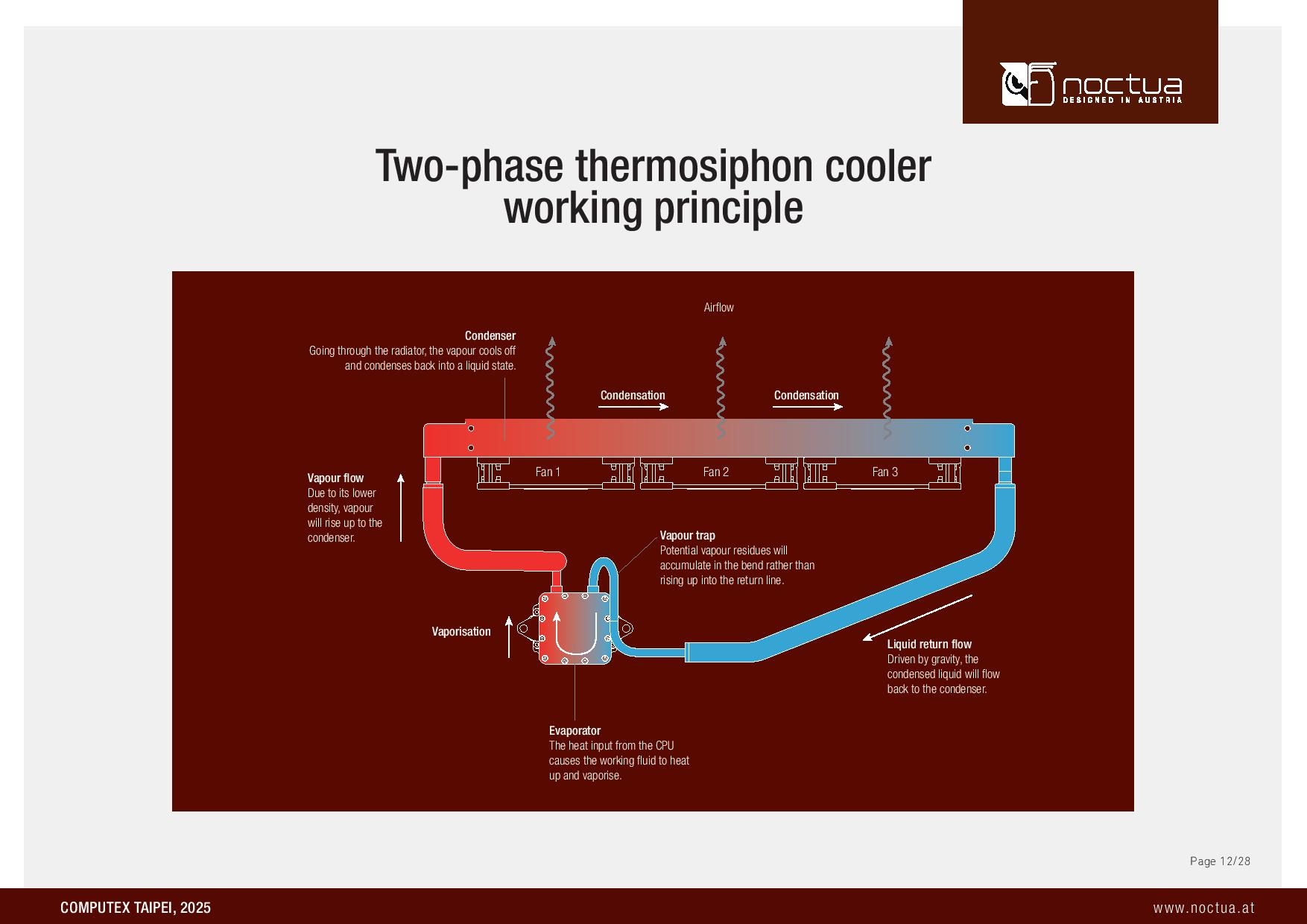 Noctua diagram showing how the thermosiphon works.